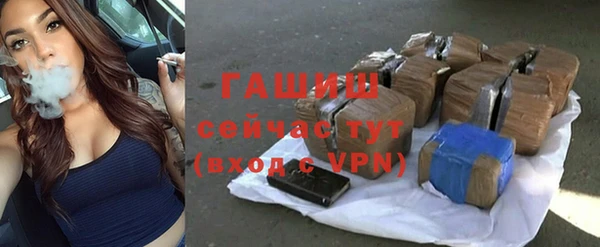 сатива Гусев