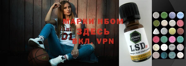 сатива Гусев