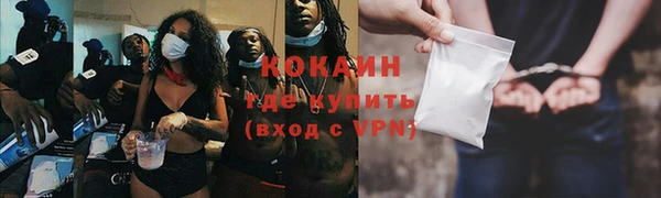 сатива Гусев