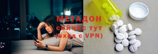сатива Гусев