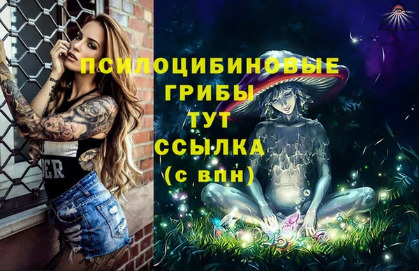 прущий лед Гусь-Хрустальный