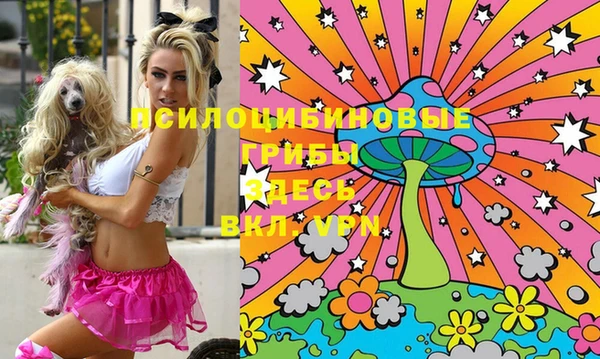 марки lsd Гусиноозёрск