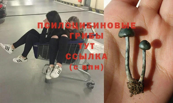 марки lsd Гусиноозёрск