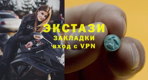 сатива Гусев